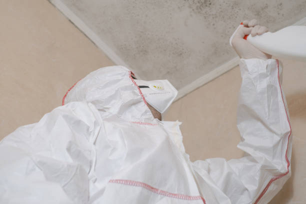 Best Attic Mold Removal  in Duncannon, PA
